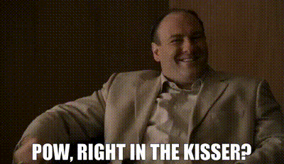 gif pow right in the kisser.gif