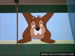 giphy (1).gif