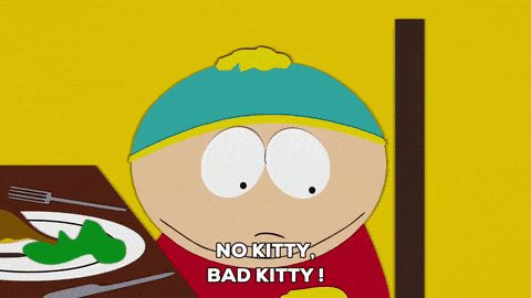 giphy (1).gif