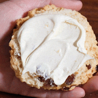 giphy (1).gif