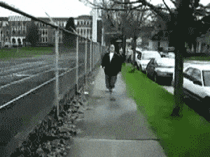 giphy (1).gif