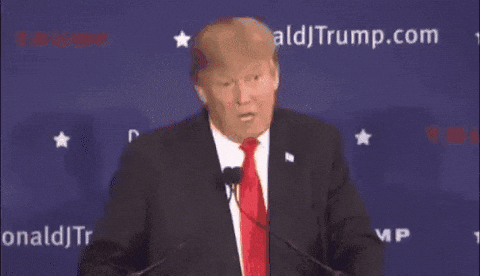 giphy (12).gif