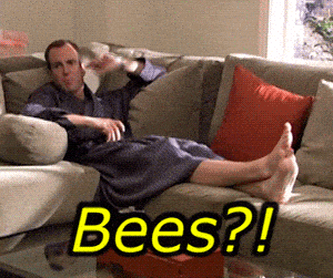 giphy (2).gif