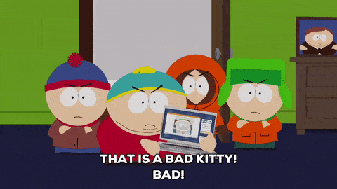 giphy-3.gif