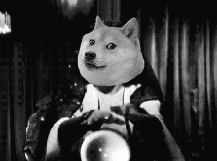 giphy (3).gif