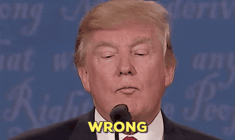 giphy-32.gif