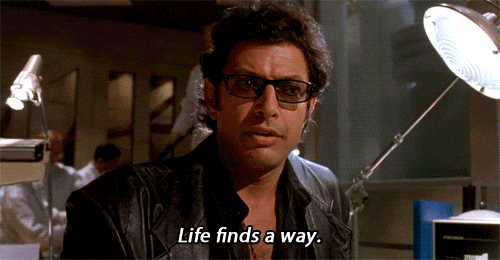 giphy (62).gif