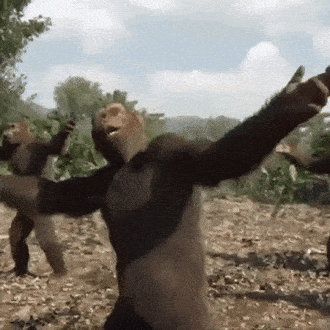 giphy-downsized.gif