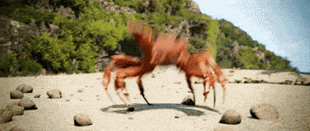 giphy-downsized.gif