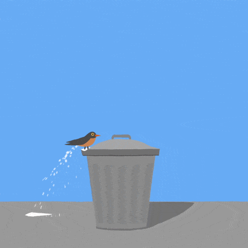 giphy.gif