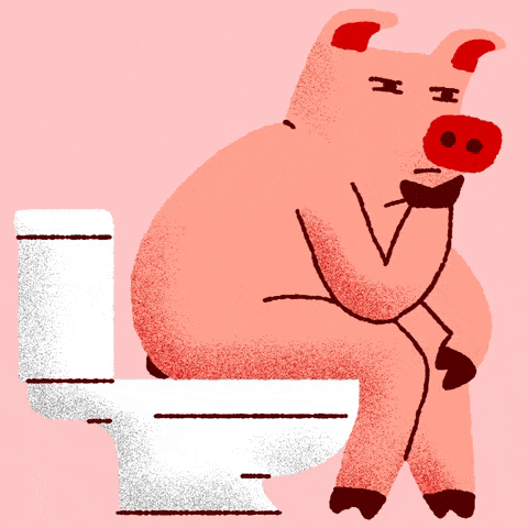 giphy.gif