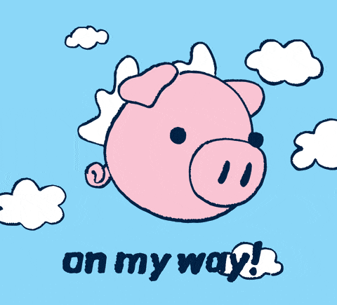 giphy.gif
