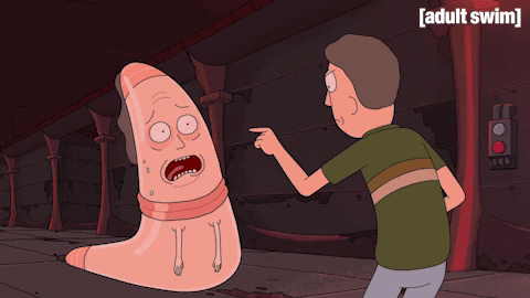 giphy.gif