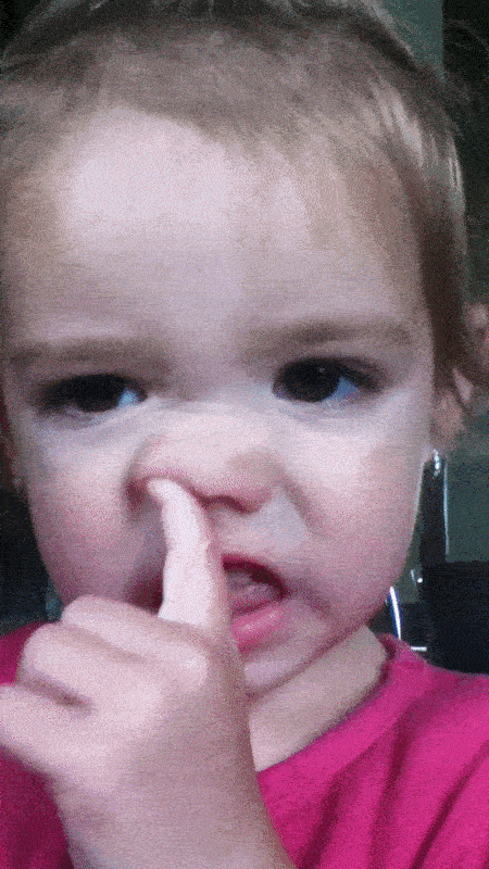 giphy12.gif