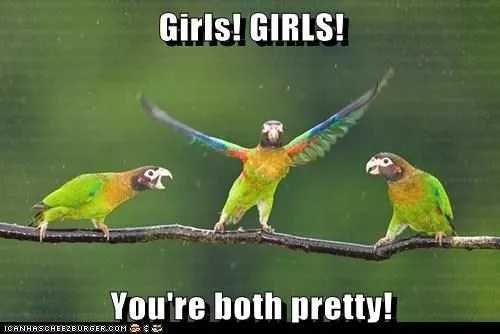 GirlsGirls1.webp