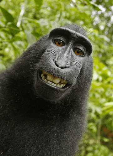 goofy-funny.gif