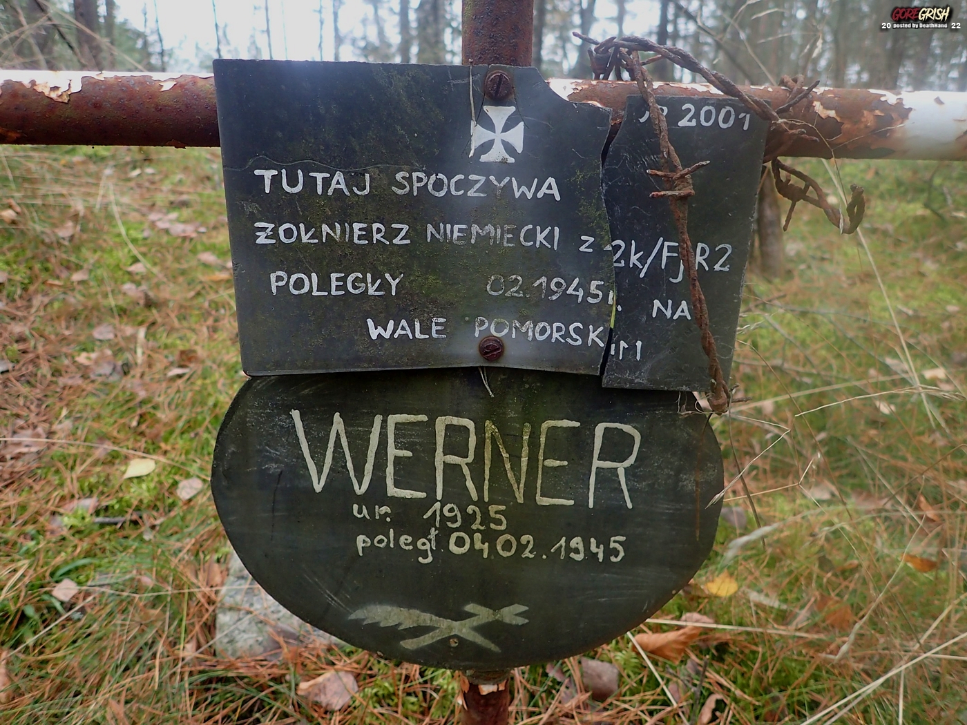 Grave Found at Bunker.jpg