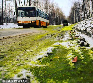 green snow in Russia 3.png