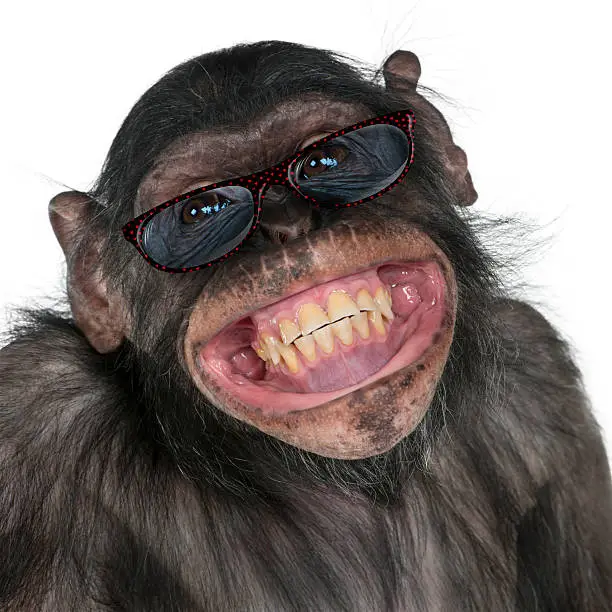 grinmonkey.webp