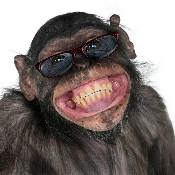 grinmonkeyforGG.webp