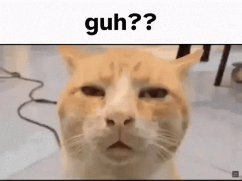 guh-cat.gif