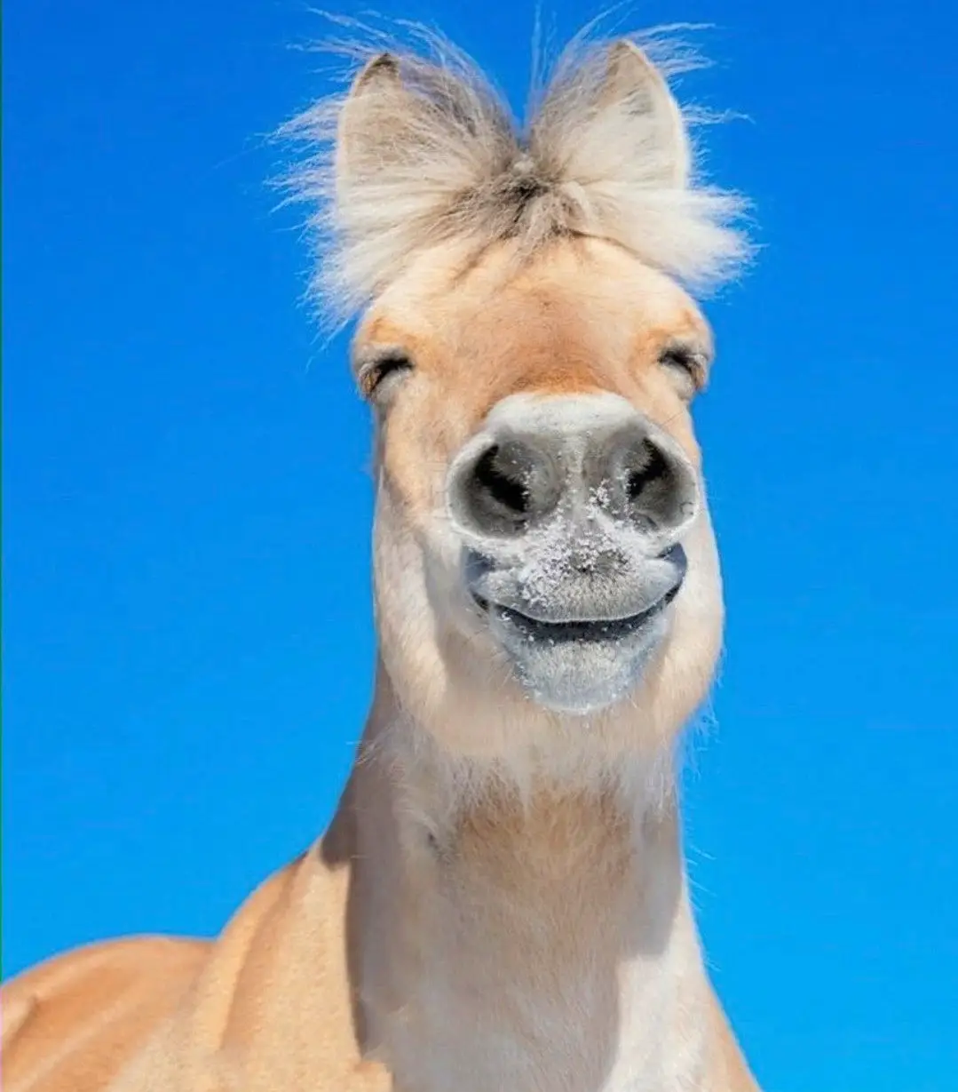 GUWJkZ0WoAARGAa.webp