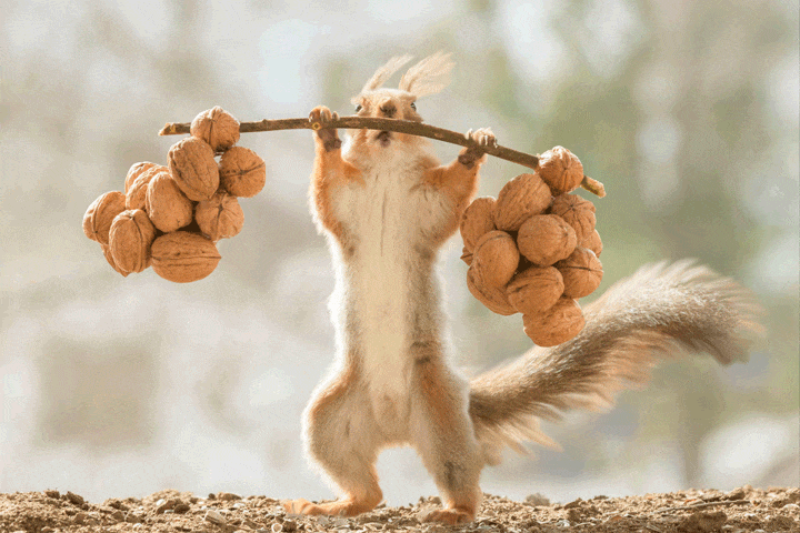 gym3.gif
