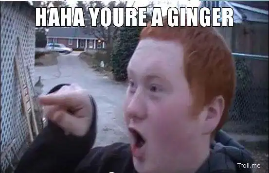 haha-youre-a-ginger.webp