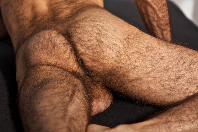 hairy ass.webp