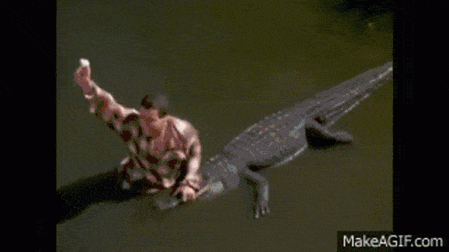 happy-gilmore.gif