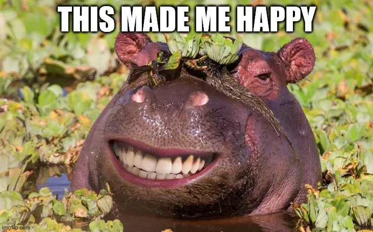 Happy Hippo.webp