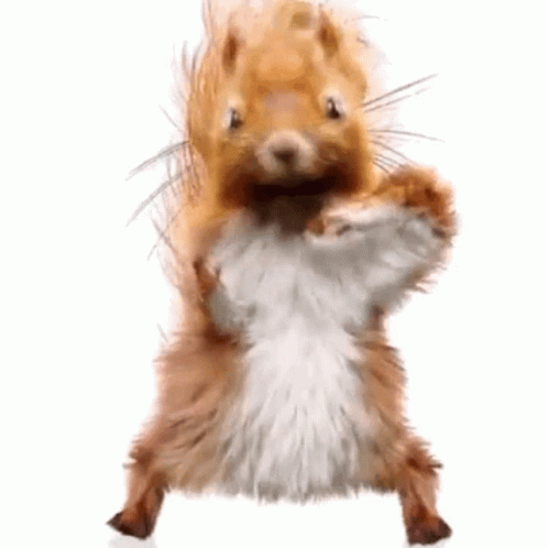 happy squee.gif