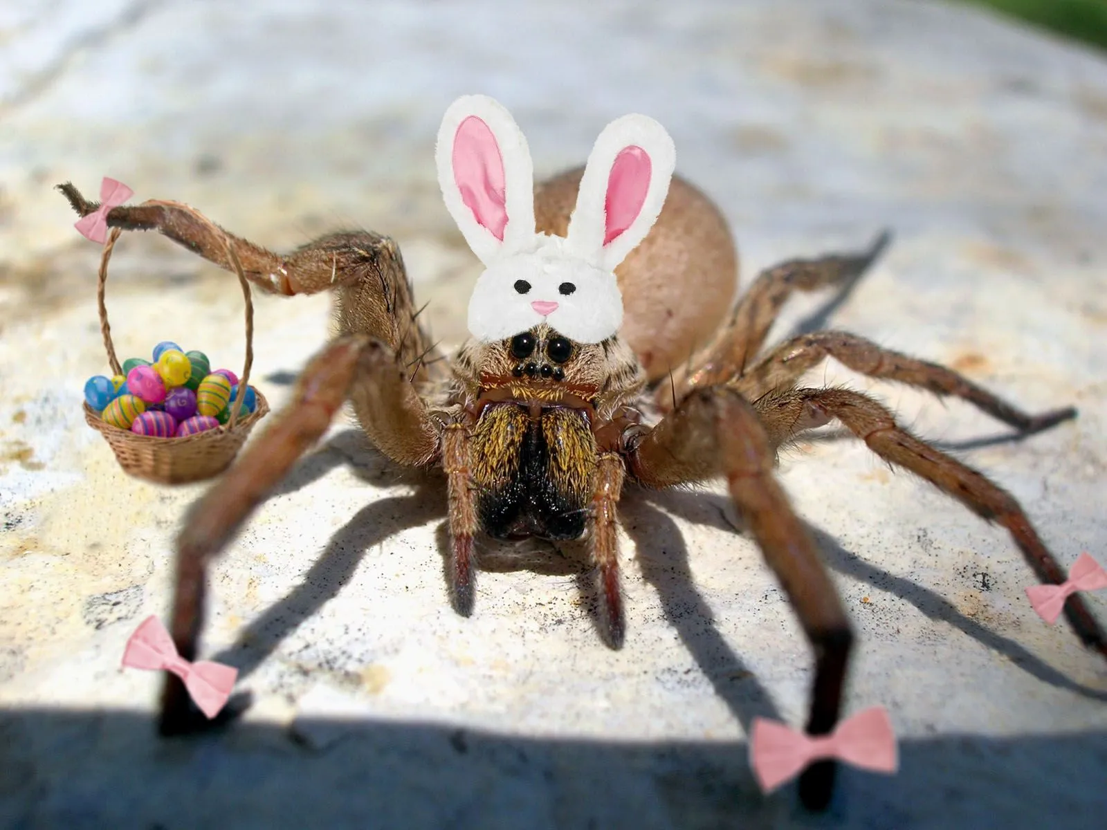 happyeast1.webp