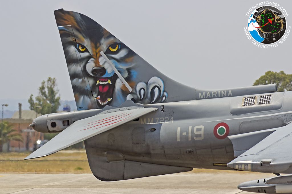Harrier-in-Deci_14.jpg