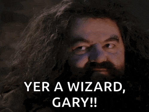 harry-potter-sorcerers-stone.gif