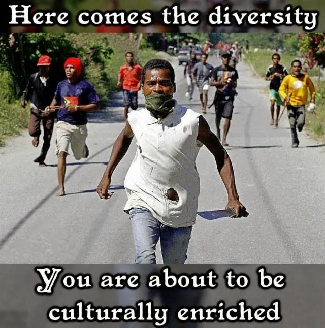 here-comes-diversity.webp