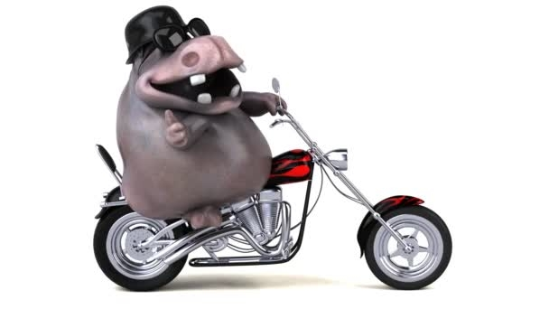 hippo roadhog.webp