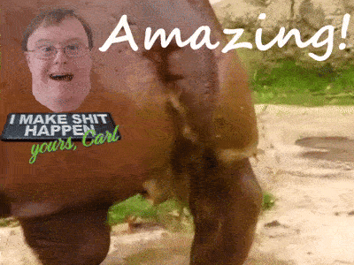 hipposhit mongo-amazing-happen.gif