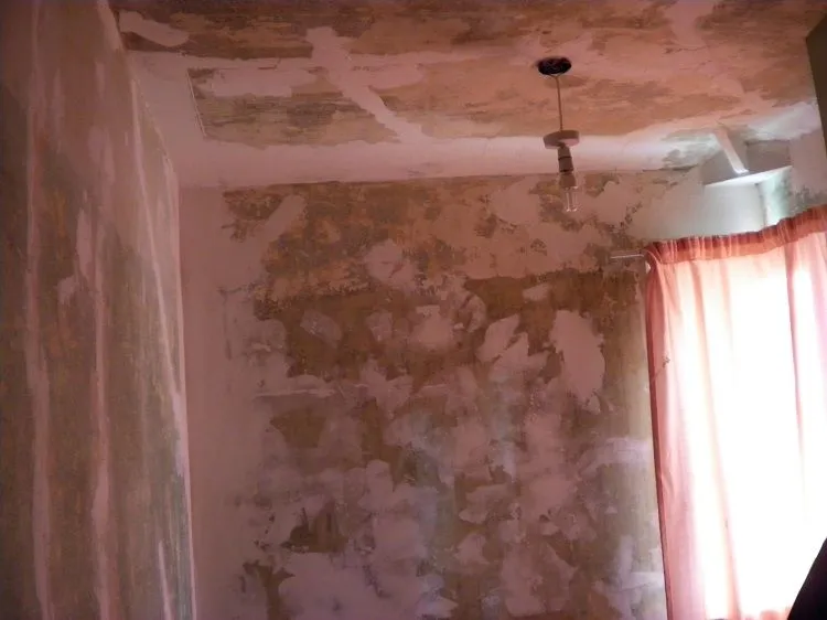 house 004.webp
