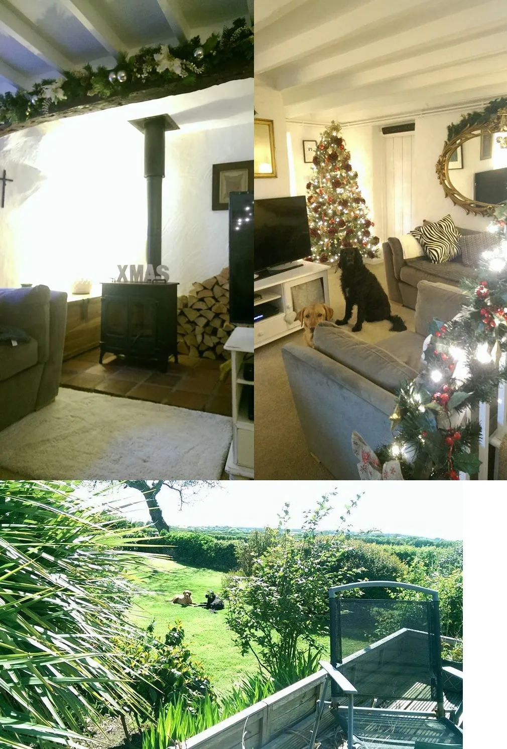 house 1.webp