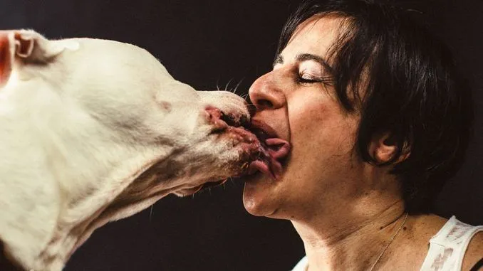 Humans_Kissing_Dogs_4-678x381.webp