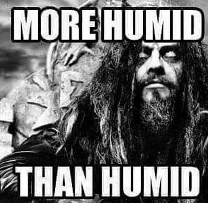 humid.webp