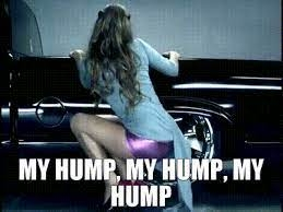 hump.webp