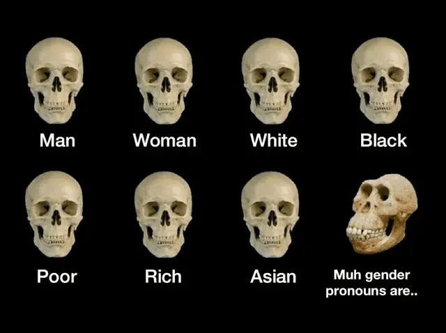 i-think-they-dont-like-pronouns-v0-exbqkmh0ejcb1.webp