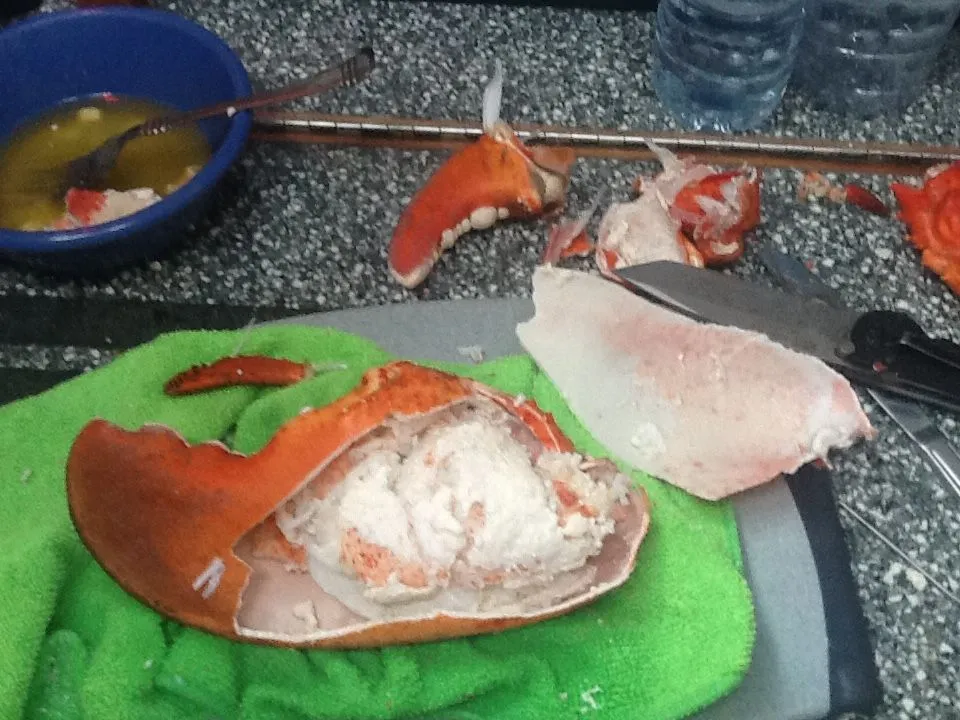 image.webp