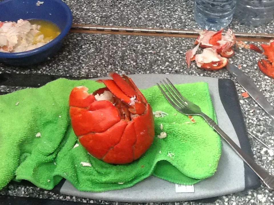 image.webp