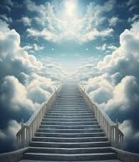 images-10.webp