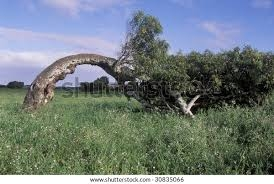images (19).webp