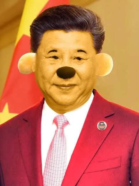 images (2) (8).jpeg