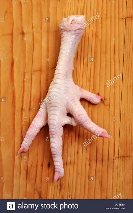 images - 2020-10-14T084611.430.webp